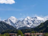 Löwenzahnwiese bei Ruhpolding mit Sonntagshorn, Vorderlahner Kopf und Fischbachkopf